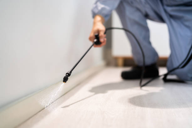 Best Best Pest Control Companies  in Quantico Base, VA