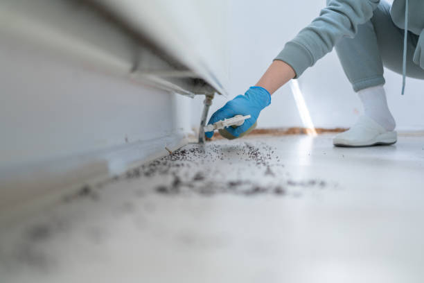 Best Wildlife Control Services  in Quantico Base, VA